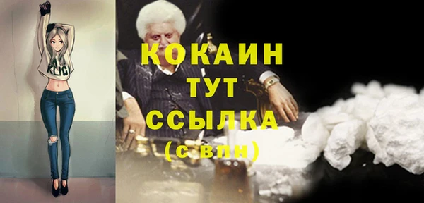 альфа пвп Новодвинск