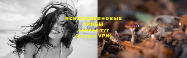 альфа пвп Новодвинск