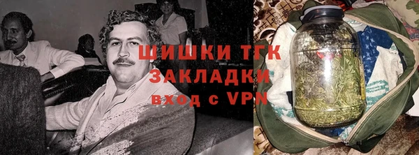 альфа пвп Новодвинск