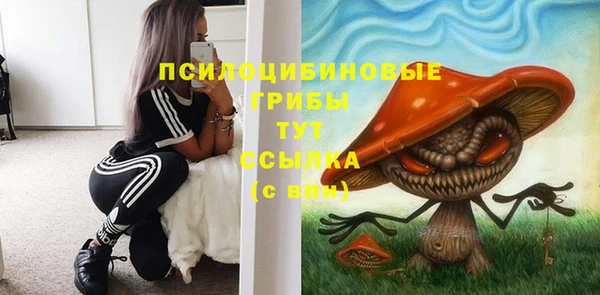 а пвп мука Новозыбков