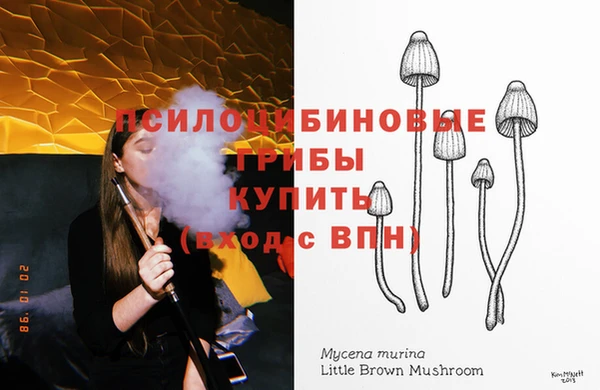 а пвп мука Новозыбков