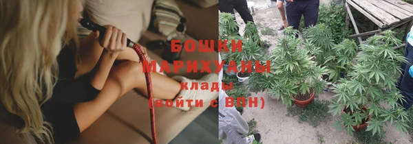 альфа пвп Новодвинск