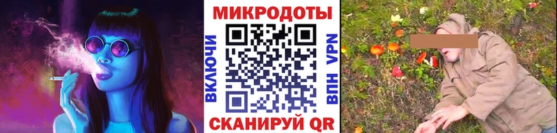Галлюциногенные грибы Psilocybe  Асино 