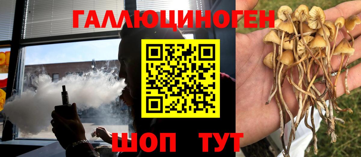 Асино  Псилоцибиновые грибы прущие грибы  Вход с VPN  Псилоцибиновые грибы прущие грибы 