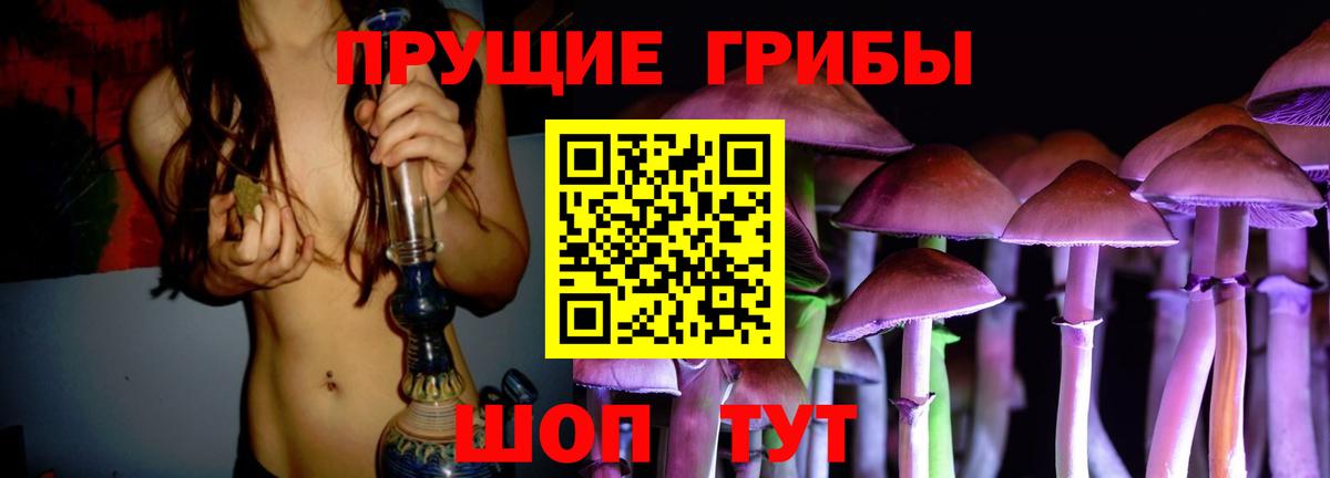 Псилоцибиновые грибы Psilocybine cubensis  Галлюциногенные грибы прущие грибы  Асино 